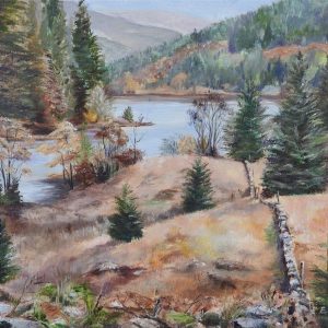 Loch Drunkie