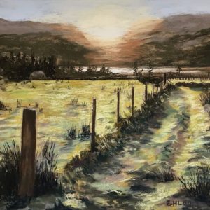 Early Morning Sun at Boreland, Fearnan